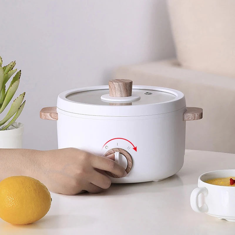 Mini multi-function electric cookers